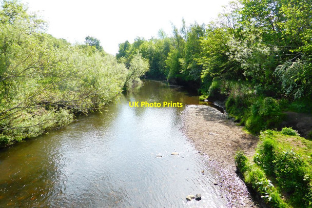 Photo 6"x4" River Carron near Camelon Falkirk c2015