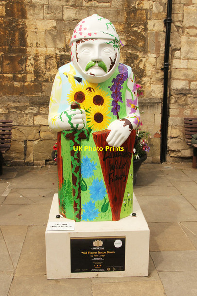 Photo 6"x4" Wild Flower Statue Baron Lincoln c2015