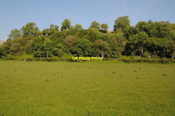 Photo 6"x4" Field and wood near Ty'n Llanfair Pentre-celyn\/SJ1453 c2015