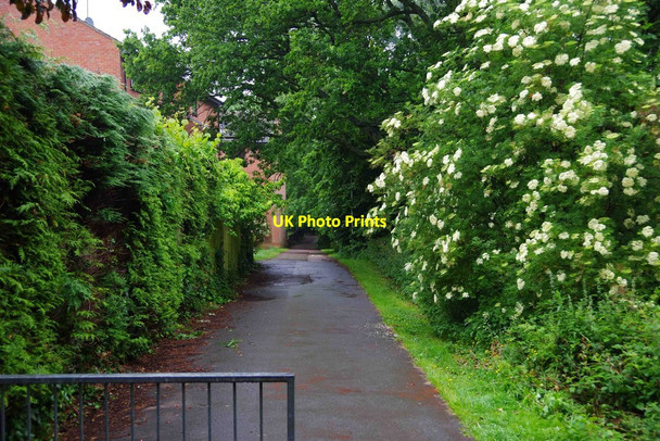 Photo 6"x4" Footpath & cycleway from Cox's Meadow to Charlton Kings, Cheltenham, Glos Cheltenham c2015
