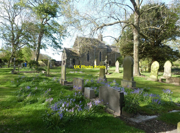 Photo 6"x4" Bluebells among the graves, Church of Our Lady, Seaton Sluice, Northumberland Seaton\/NZ3276 c2015