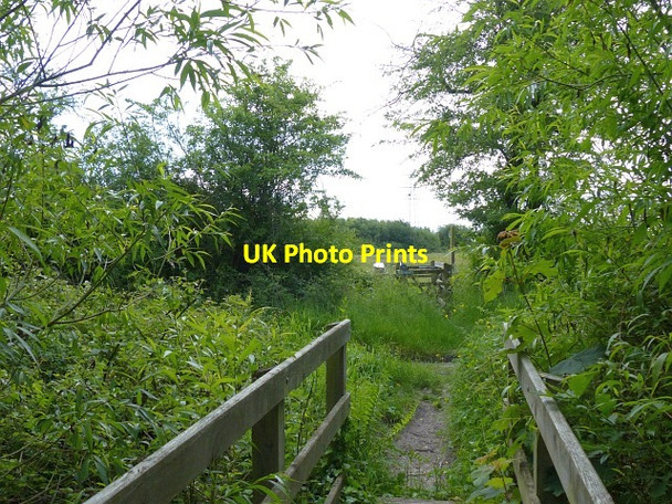 Photo 6"x4" Footbridges on the Wales Coast Path Pye Corner\/ST3485 c2015