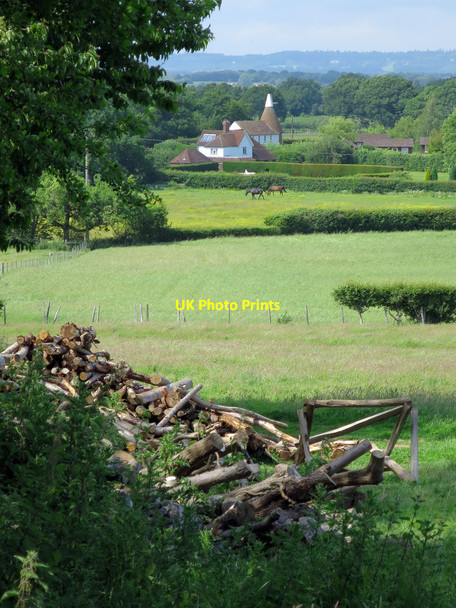 Photo 6"x4" Fields near Cradducks Farm Knox Bridge c2015