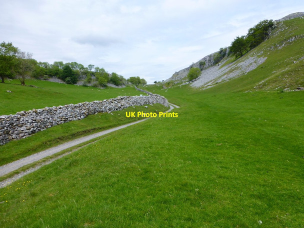 Photo 6"x4" Pennine bridleway near Wharf Wood Town Head\/SD7768 c2015