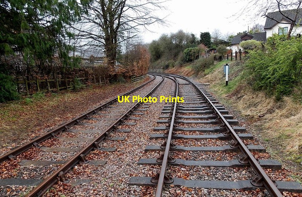 Photo 6"x4" Railway spur NNW of Yorkley Road level crossing, Parkend Eave c2014