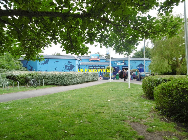 Photo 6"x4" Weymouth Sealife Centre Weymouth\/SY6779 c2015