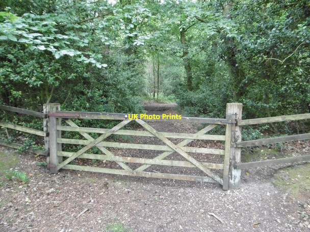 Photo 6"x4" Norley Inclosure, gate Norleywood c2015