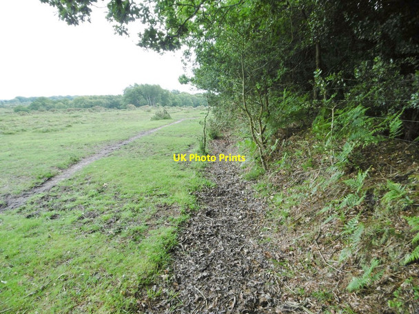 Photo 6"x4" Norley Inclosure, embankment & ditch Norleywood c2015