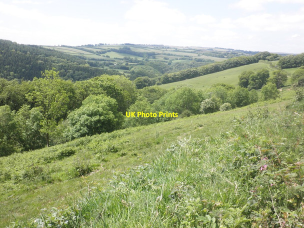 Photo 6"x4" The Barle Valley Dulverton c2015