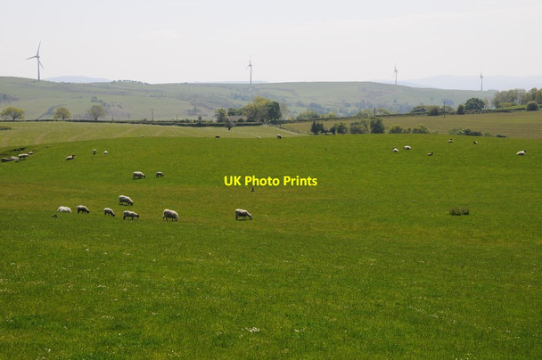 Photo 6"x4" Farmland in the Clwyd valley Derwen\/SJ0650 c2015