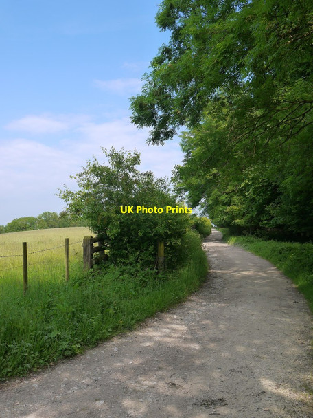 Photo 6"x4" View east along the South Downs Way Heyshott c2015