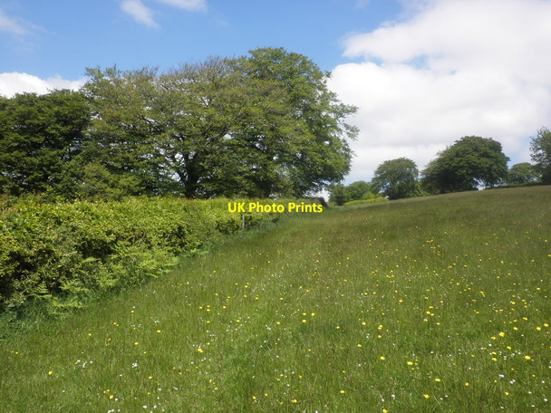 Photo 6"x4" Meadow near Ashwick Lane Hawkridge c2015