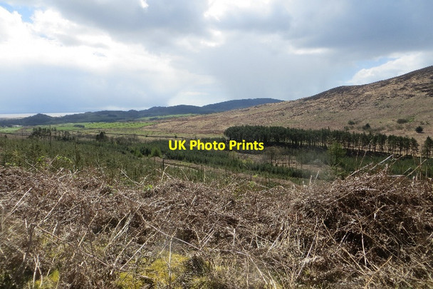 Photo 6"x4" Ryes Plantation Drumcow Burn c2015