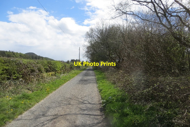 Photo 6"x4" Boreland Lane Caulkerbush c2015