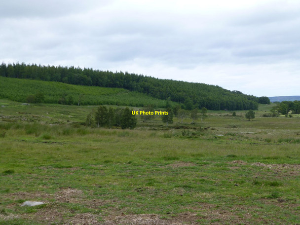 Photo 6"x4" Newtown Moor Newtown\/NU0425 c2015