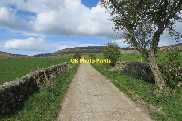 Photo 6"x4" Road, Ryes Caulkerbush c2015