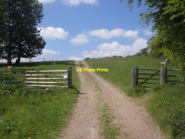 Photo 6"x4" Track to Court Down Dulverton c2015