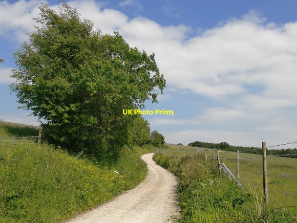 Photo 6"x4" The South Downs Way ascending Manorfarm Down Cocking c2015