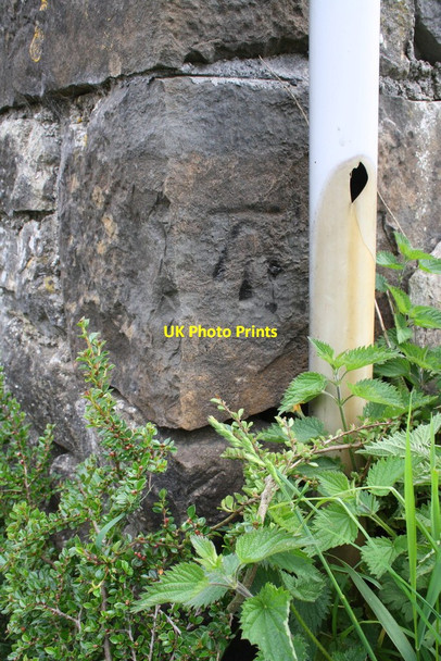 Photo 6"x4" Benchmark on outbuilding at High Birkwith Selside\/SD7875 c2015