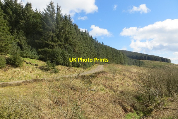 Photo 6"x4" Logging road, Boreland Hill Abbey Fell c2015