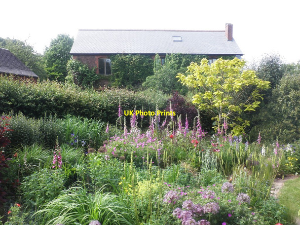 Photo 6"x4" Open garden day, Stogumber Kingswood\/ST1037 c2015