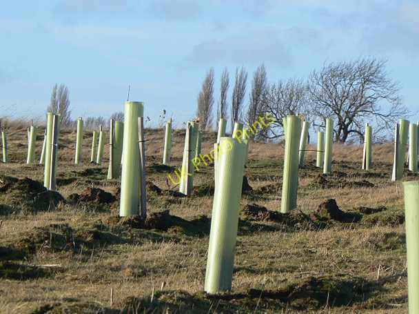 Photo 6"x4" Spoil reclamation Arnold\/SK5945 c2009