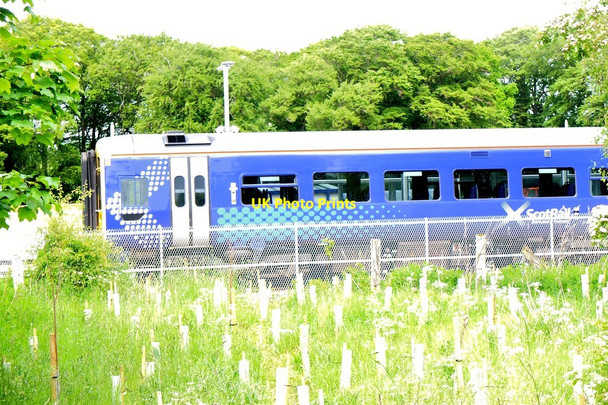 Photo 6"x4" Train at Tweedbank Melrose\/NT5434 c2015