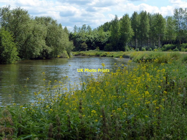 Photo 6"x4" Looking south along the River Thames Sandford-on-Thames c2015