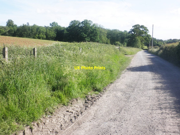 Photo 6"x4" Track to Happerton Easton-in-Gordano c2015