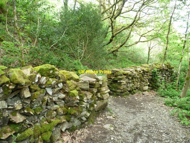 Photo 6"x4" Footpath crossing wall, Coed Llyn Mair Tan-y-bwlch\/SH6540 c2015
