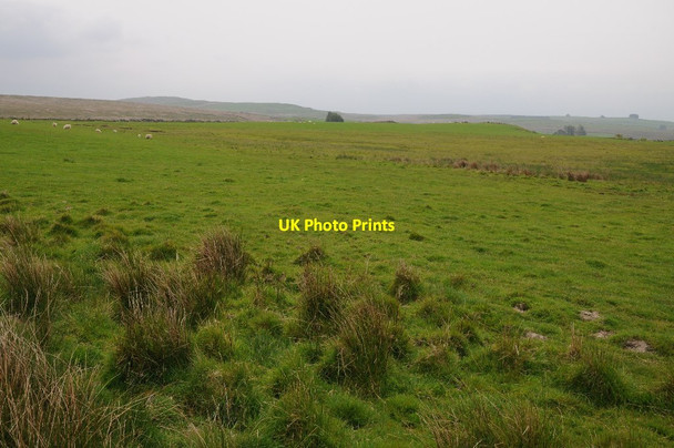 Photo 6"x4" Upland grazing on the edge of the moors Nant-y-Rhiw c2015