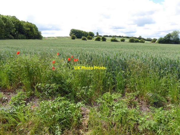 Photo 6"x4" Farmland near Low Burnham Low Burnham c2015