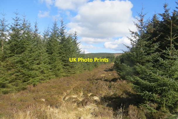 Photo 6"x4" A ride running towards Meikle Hard Hill Cuil Hill c2015