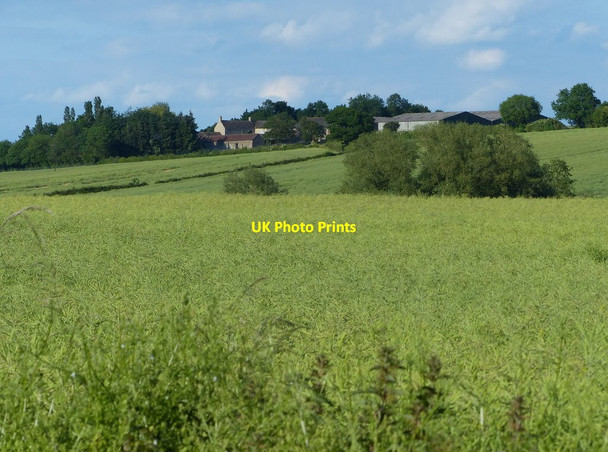 Photo 6"x4" View towards Purwell Farm Church Hanborough c2015