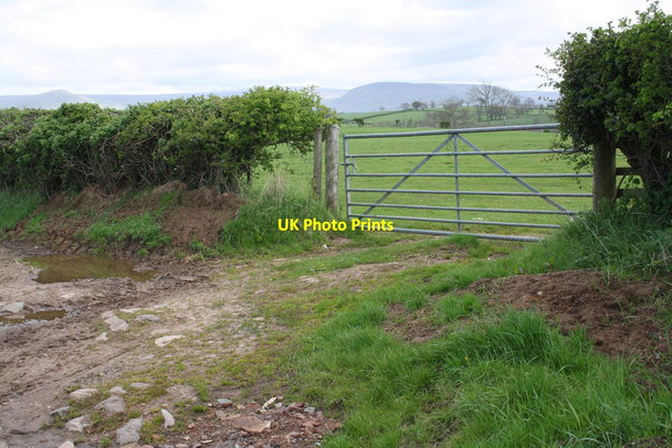 Photo 6"x4" Gateway to fields of Hawkrigg Farm Colby\/NY6620 c2015