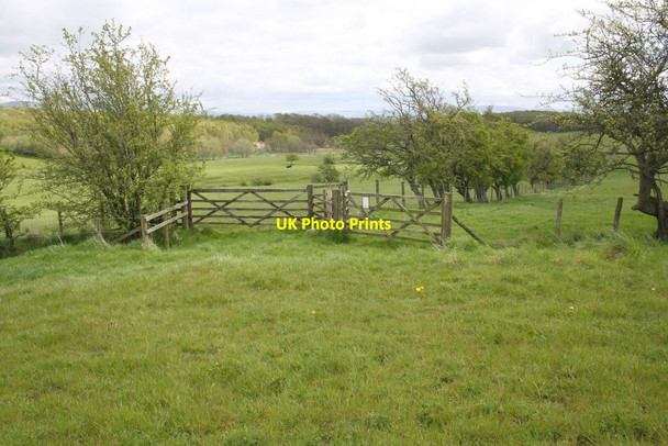 Photo 6"x4" Junction of gates, fences and hedgerows under Fouson's Rigg Colby\/NY6620 c2015