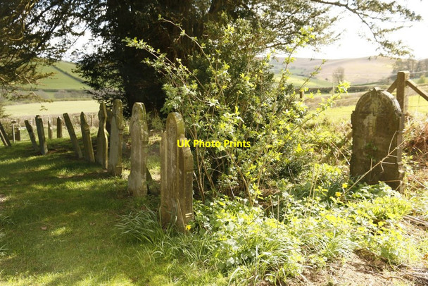 Photo 6"x4" Headstones by the Trees Colva c2015