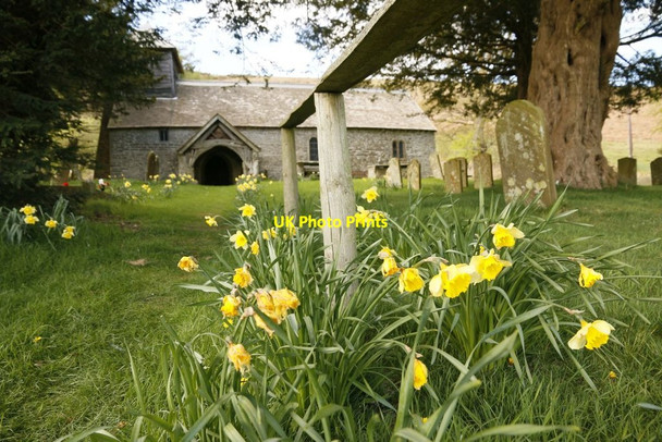 Photo 6"x4" Daffodils Round the Handrail Colva c2015