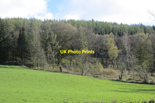 Photo 6"x4" Field near Lotus Beeswing c2015