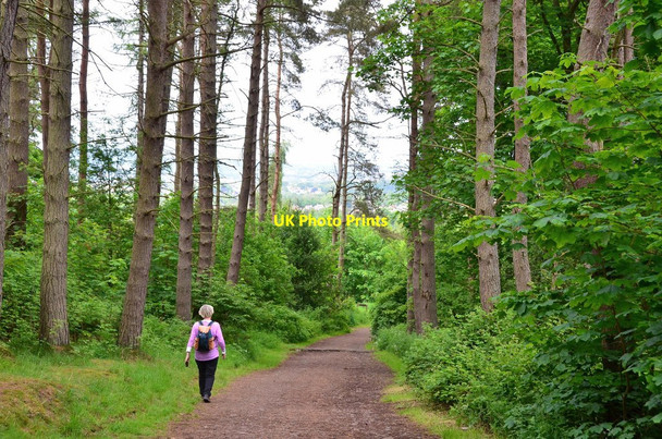 Photo 6"x4" Track to Bonaly Bonaly c2015