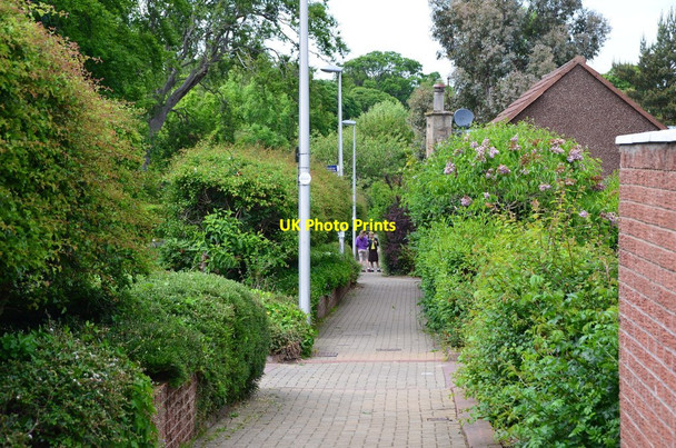 Photo 6"x4" Footpath, Bonaly Road Bonaly c2015