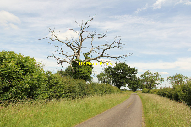 Photo 6"x4" Pickworth top Pickworth\/TF0433 c2015