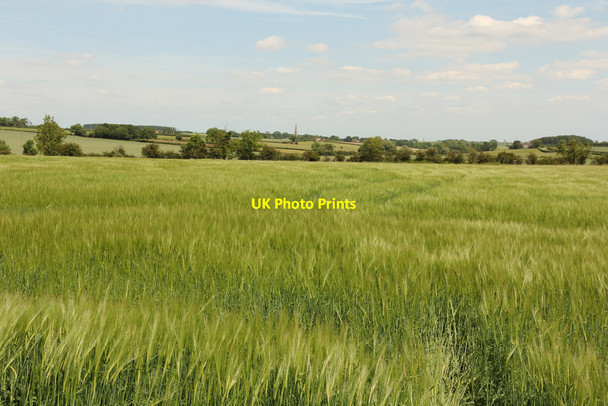 Photo 6"x4" Pickworth farmland Pickworth\/TF0433 c2015