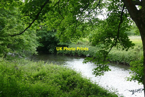 Photo 6"x4" The River Tame in Haughton Dale Denton\/SJ9295 c2015