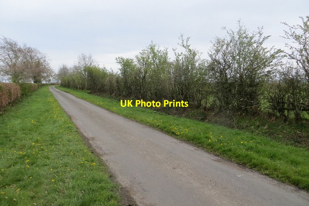 Photo 6"x4" Road, Scales Hurst\/NY4140 c2015