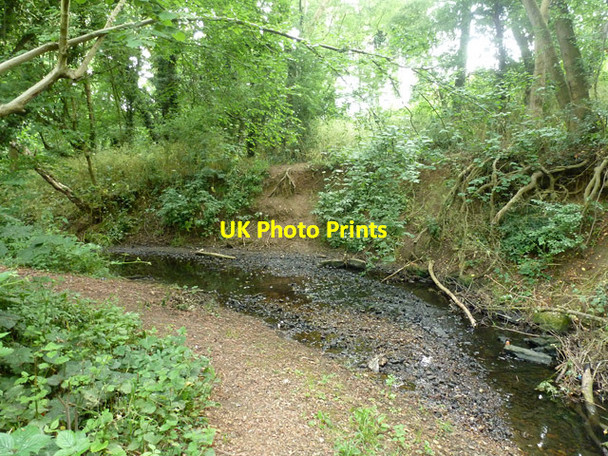 Photo 6"x4" Todd Brook, Harlow Harlow c2015
