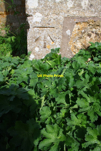 Photo 6"x4" Benchmark on St Peter's Church Tilton on the Hill c2015