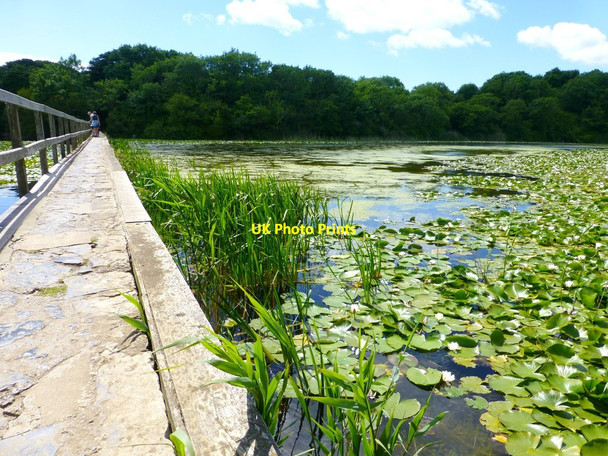 Photo 6"x4" Footbridge over the Lily Pond at Bosherton Bosherston c2015