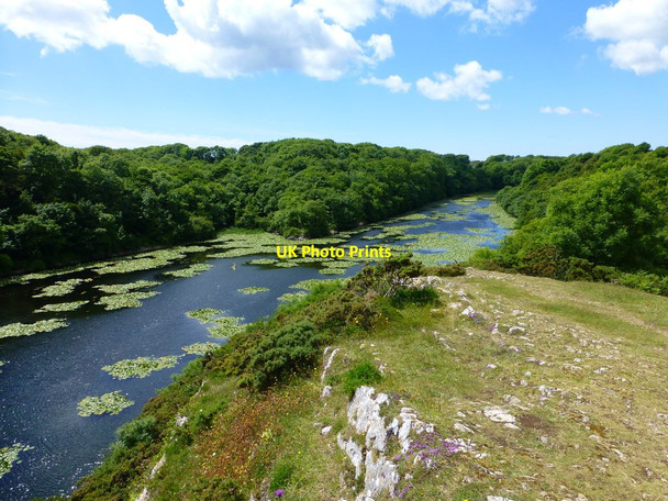 Photo 6"x4" Lily ponds from vantage point on path to Bosherton Bosherston c2015
