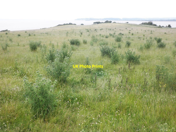 Photo 6"x4" Rough pasture on St Thomas's Head Woodspring Priory c2015